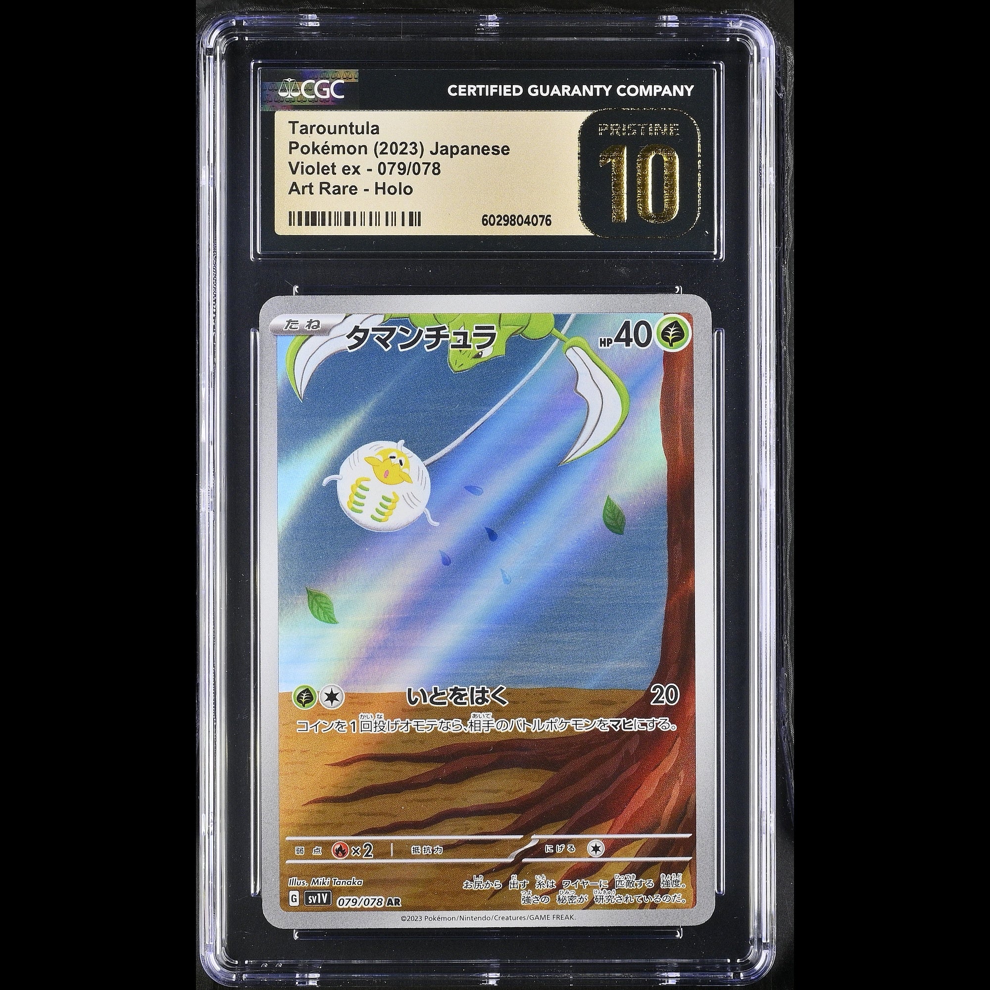 Tarountula - Slab Front