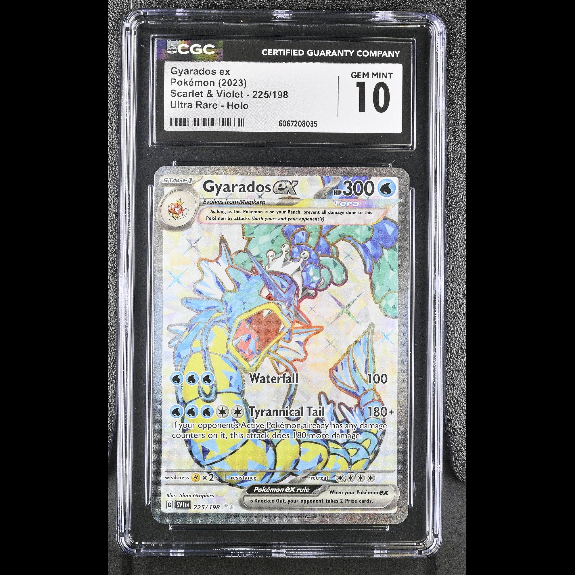 Gyarados ex - Slab Front