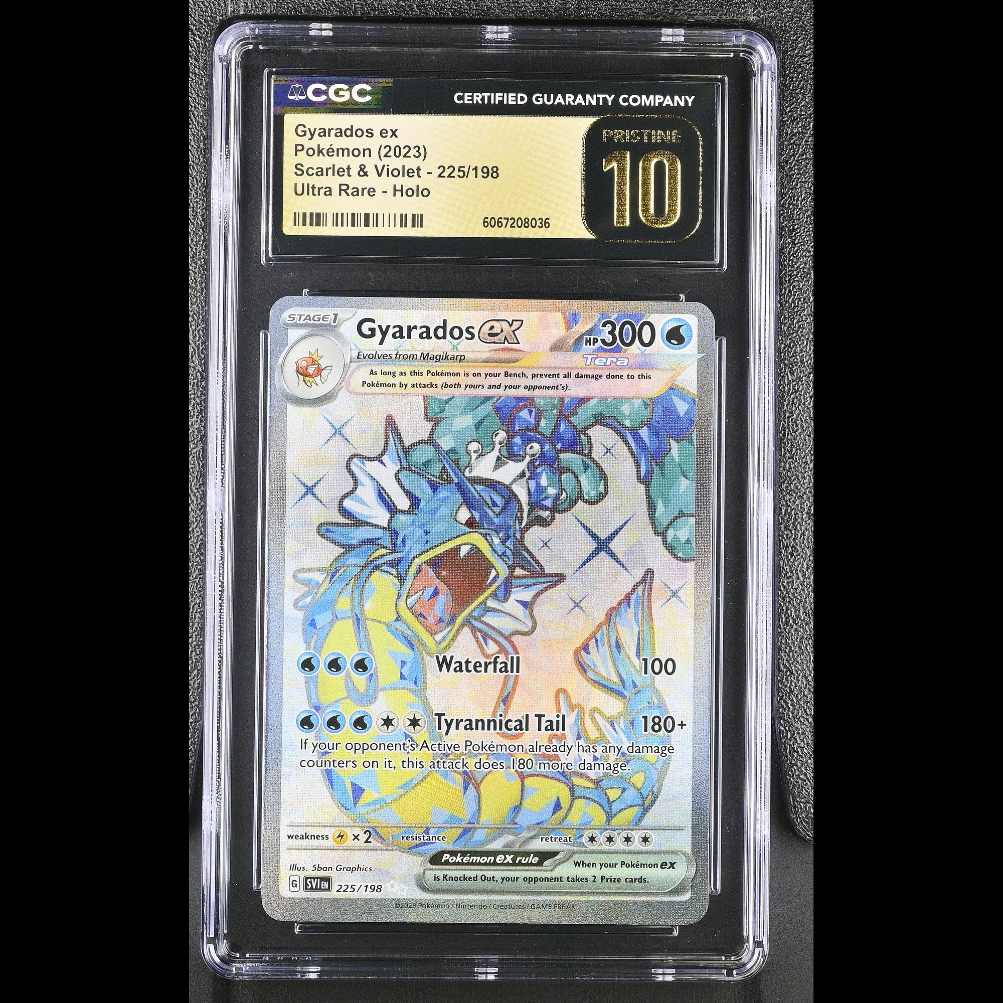 Gyarados ex - Slab Front